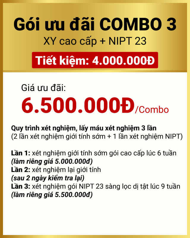 combo xy + nipt 23